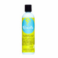 blueberry bliss reparative hair wash curls 8 oz