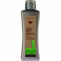 champu argan hidratacion reparacion salerm 300 ml