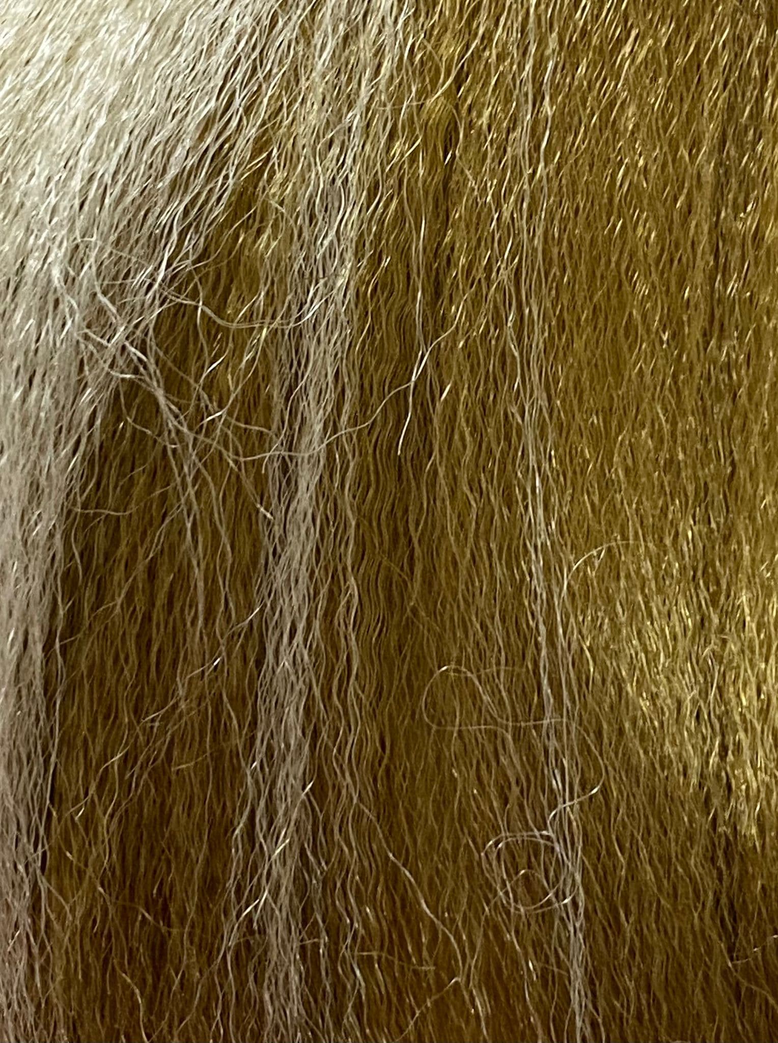 PELO TERNZA XPRESSION ULTRA BRAID