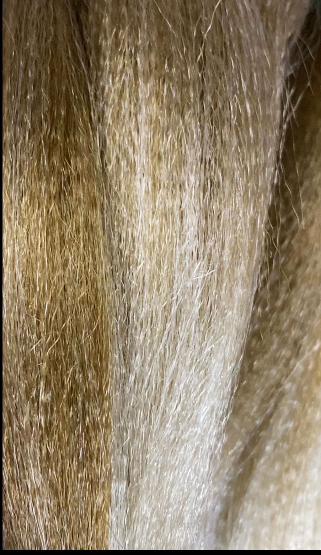PELO TERNZA XPRESSION ULTRA BRAID