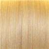x pression ultra braid