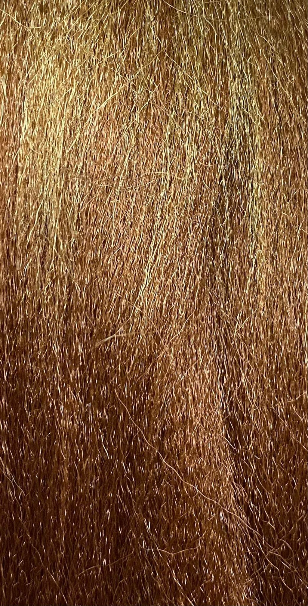 PELO TERNZA XPRESSION ULTRA BRAID