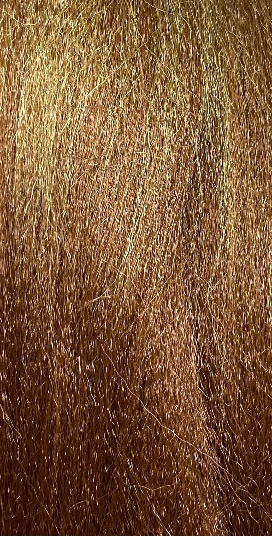 PELO TERNZA XPRESSION ULTRA BRAID