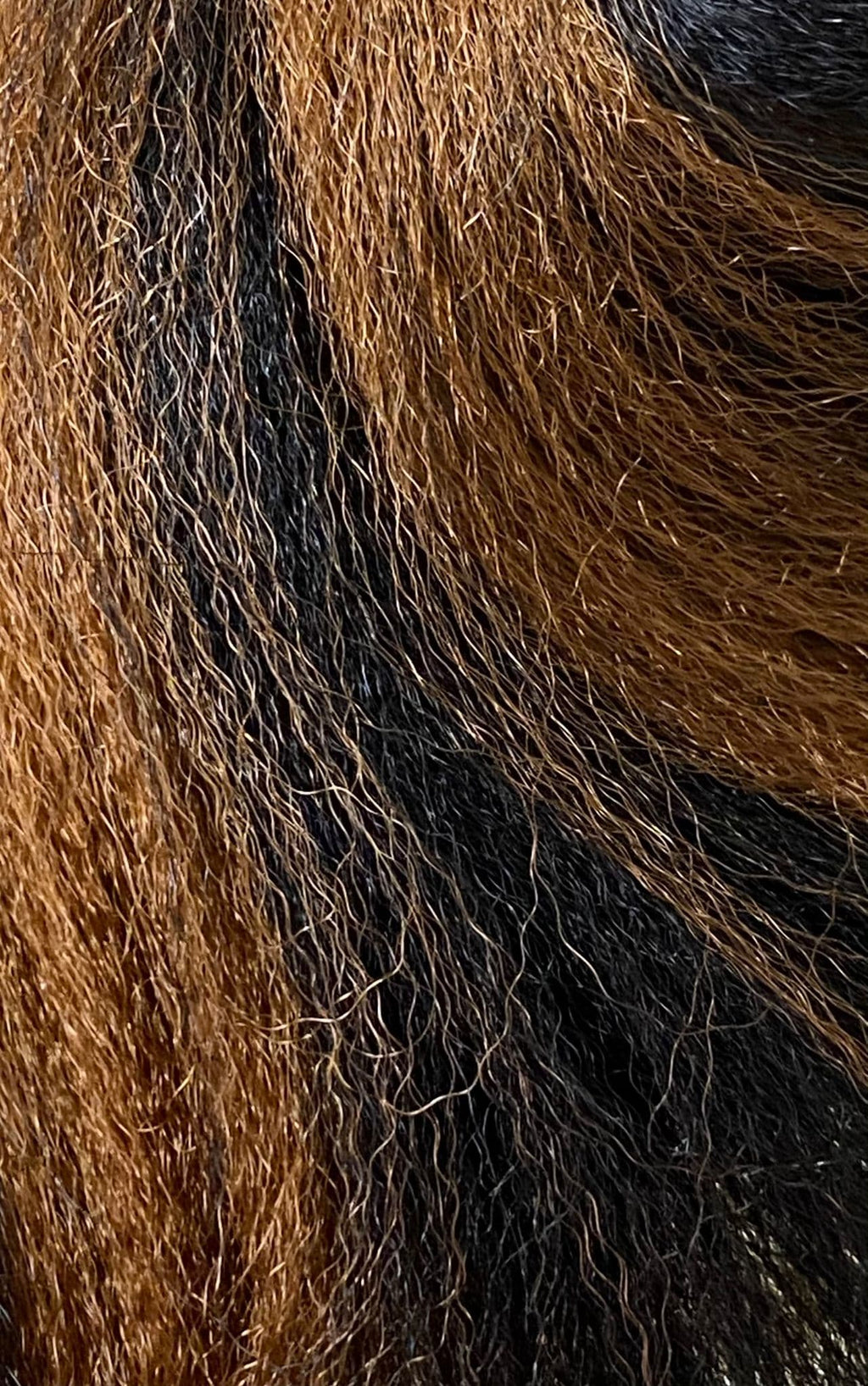 x pression ultra braid