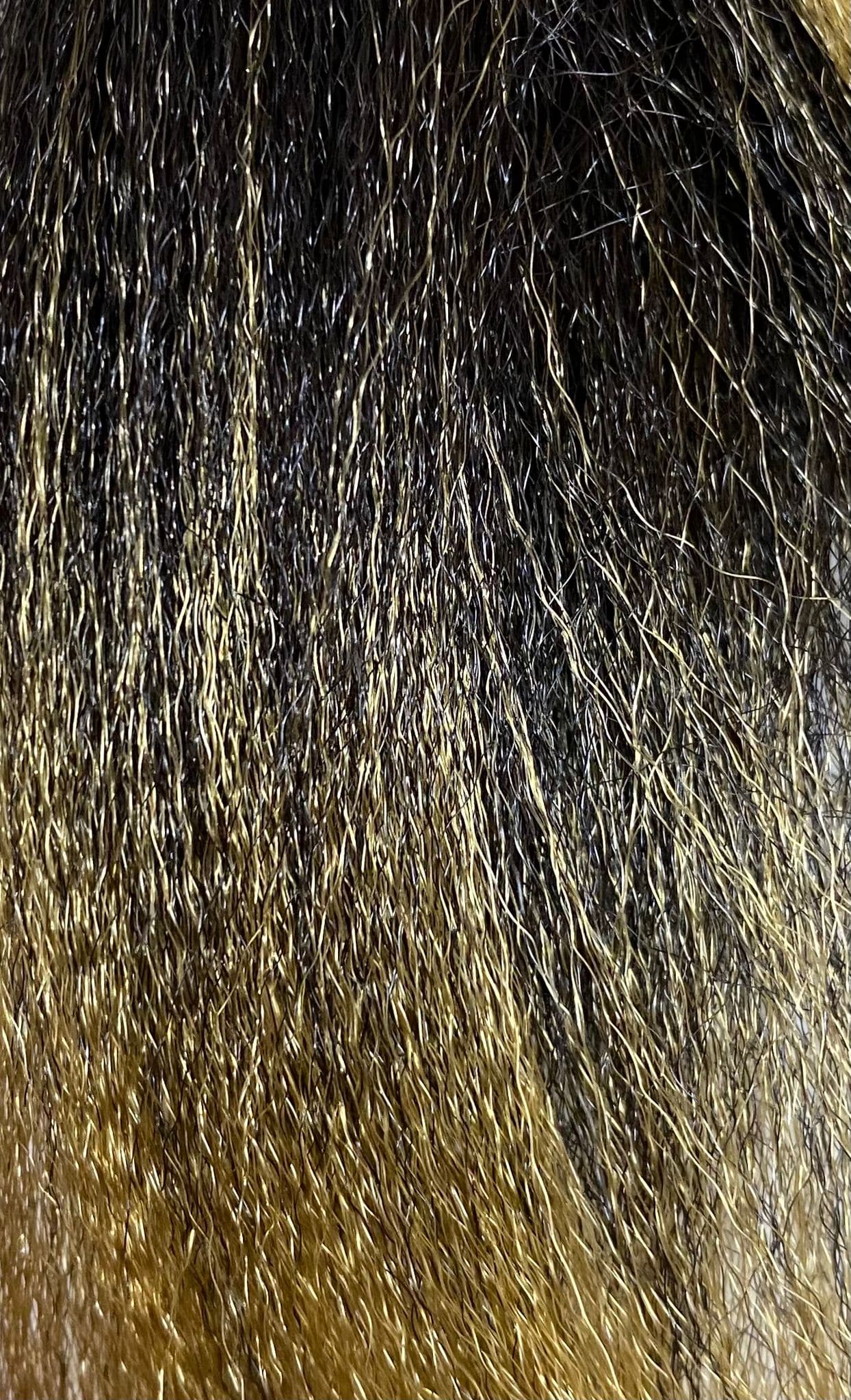x pression ultra braid